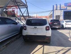 جيب رينيجيد